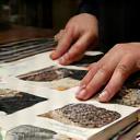 Mani che sfogliano un catalogo di pietre rare